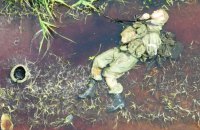 Оборонці знищили за добу ще 710 окупантів та 4 ворожих танки, – Генштаб