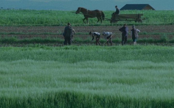 Національний конкурс Docudays UA: від загального до конкретного, від конкретного до глобального 