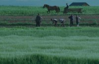 Національний конкурс Docudays UA: від загального до конкретного, від конкретного до глобального 