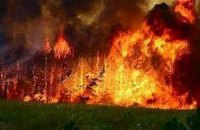 Лесной пожар уничтожил 8 заброшенных домовладений в Киевской области