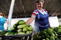 ​Украина накормит Россию огурцами