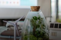 В Україні запрацює Зелена платформа – цифровий каталог доступних програм зеленого фінансування