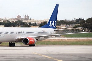 Авиакомпания отменила рейс из-за мыши в самолете
