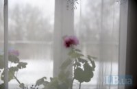 Люда и её люди