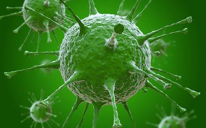 Китай зафіксував першу в світі смерть людини від пташиного грипу H3N8, − ВООЗ 