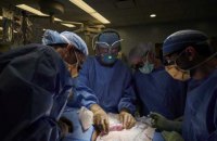 В США впервые успешно пересадили человеку почку, выращенную в теле свиньи