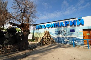 В Севастополе неизвестные захватили дельфинарий
