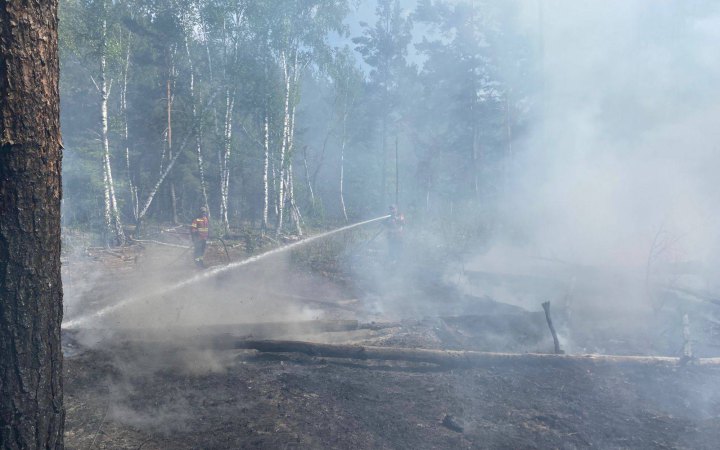 У Чорнобильській зоні через падіння уламків дронів спалахнули нові пожежі