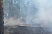 У Чорнобильській зоні через падіння уламків дронів спалахнули нові пожежі