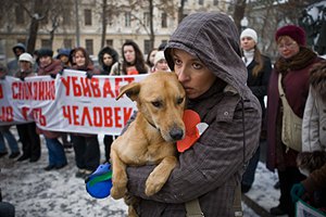 "Собачий грипп" косит украинцев
