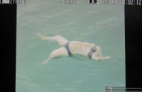 ВМС Індонезії виявили понад 40 тіл загиблих у катастрофі малайзійського літака