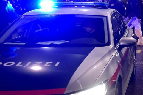 В Вене задержали 22 чеченцев с оружием 