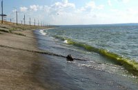 Из-за пестицидов в Каховском водохранилище закрыли школы и сады