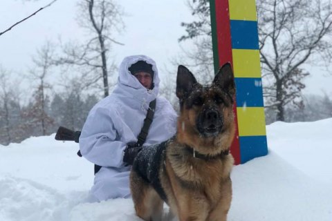 Пограничники тренируют собак, которые будут бороться с терроризмом