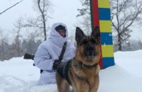 Пограничники тренируют собак, которые будут бороться с терроризмом