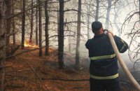В Николаевской области горит 50 гектаров леса