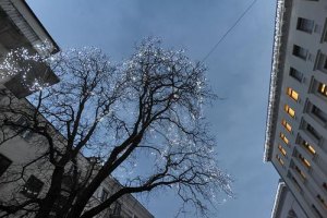 У Януковича отказались выделять на медпункт в АП 5 млн грн