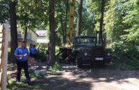В Буче продолжается вырубка лесов, несмотря на запрет суда