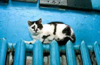 В киевских домах станет тепло уже на выходных
