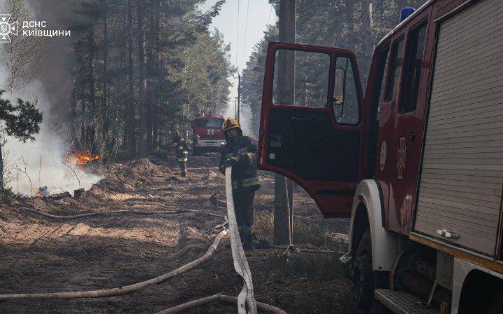 У Чорнобильській зоні гасять масштабну лісову пожежу. Радіаційний фон у нормі