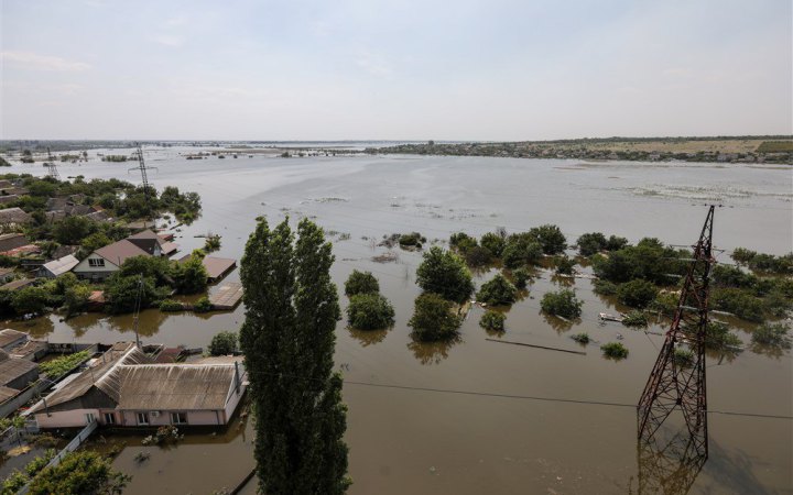 Внаслідок підриву Каховської ГЕС на півдні України  може загинути значна частина лісів