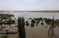 Внаслідок підриву Каховської ГЕС на півдні України  може загинути значна частина лісів