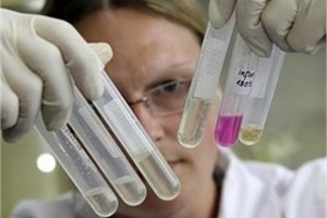 В Черкасской области - вспышка сибирской язвы