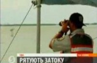 Экология и формализм 