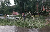 78 населених пунктів Полтавщини знеструмлено через негоду (оновлено)