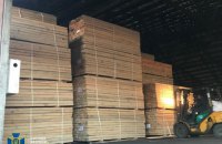 На Житомирщині викрили схему незаконного експорту деревини в Азію на 4 млн грн