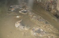 Запорожью грозит экологическая катастрофа