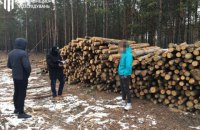 В Житомирской области четырех лесничих подозревают в незаконной вырубке леса на 6 млн гривен
