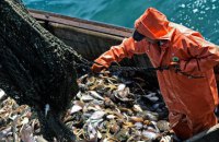 Украина согласовала с Россией квоты на вылов рыбы в Азовском море