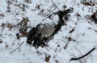​У Києві уламки ракети впали на територію музею Пирогів