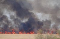  В Одесской области горит национальный природный парк 