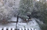 Москву засыпало снегом