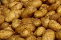 Россия вводит запрет на ввоз продовольственного картофеля из Украины 