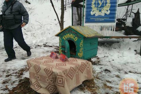 Харківський бабак напророкував теплу і ранню весну