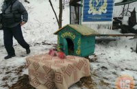 Харьковский сурок предсказал теплую и раннюю весну 