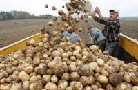 Украина вошла в тройку крупнейших экспортеров сельхозпродукции в ЕС