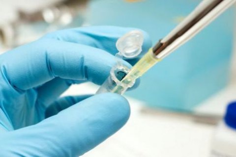 В Нидерландах умершего владельца банка спермы подозревают в отцовстве 60 детей