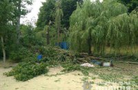 На базі відпочинку біля Харкова через падіння дерева загинула людина, ще двоє потрапили до реанімації