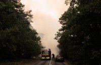 У Франції від початку року вигоріли майже 40 тисяч гектарів лісів. Затримали понад 100 осіб
