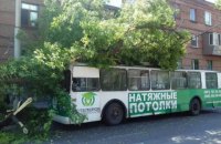 В Запорожье на троллейбус с пассажирами упало дерево