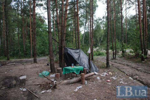 Кабмин завершил подготовку законопроектов об янтаре и легализации казино (обновлено)