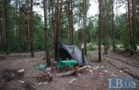 Кабмин завершил подготовку законопроектов об янтаре и легализации казино (обновлено)