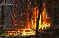 На Черкащині – масштабна пожежа: вогонь охопив 100 гектарів лісу
