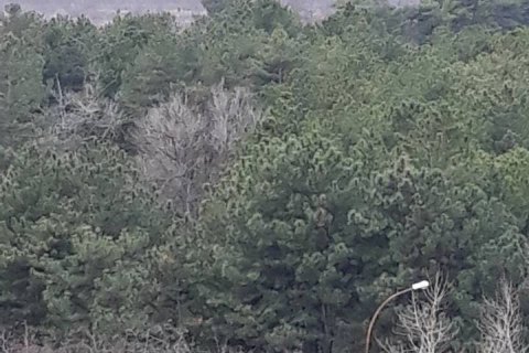 Оккупанты заминировали побережье Каховского водохранилища возле Запорожской АЭС