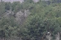 Оккупанты заминировали побережье Каховского водохранилища возле Запорожской АЭС