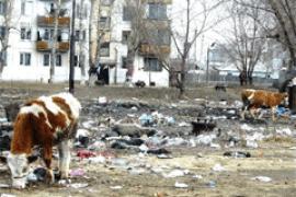 Почему не торговали? 